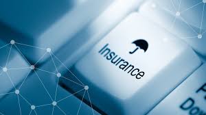 Cyber Risk Insurance: What Is It and When Is Coverage Necessary? - IRIS  Solutions